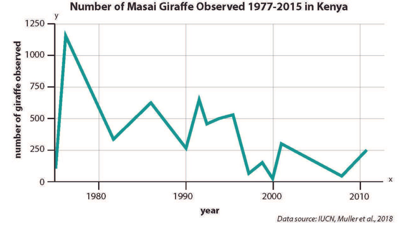 OpenSciEd graph titled observed Masai giraffe numbers, 1977–2015 in Kenya, with a high early peak, lower later counts and sharp fluctuations; its displayed data credit names IUCN and Muller et al. (2018).